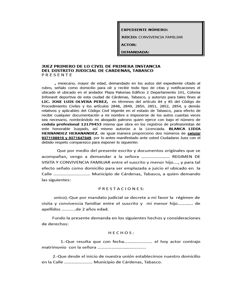 Juicio de Convivencia Familiar Profesor | PDF | Justicia | Crimen y ...