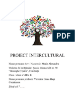 Proiect Intercultural