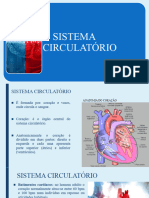 Sistema Circulatório e Respiratório