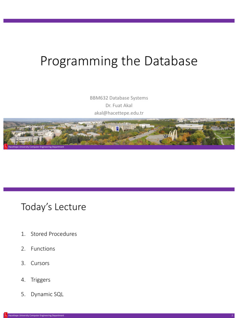 11 Programming The Database Pdf Databases Sql