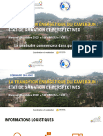 Sel Ifdd 26oct Transition Energetique Cameroun