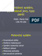 Pyramidovy Syndrom 3.tyden