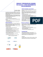 Riesgo y Prevención de Lesiones Por Agujas y Otros Instrumentos Cortopunzantes (2009)