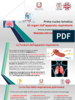 Seconda Annualità 1 Nucleo Tematico 1 Lezione-Gli Organi Dellapparato Respiratorio