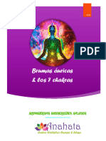 Brumas Áuricas y 7 Chakras