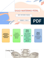 Módulo Materno Fetal-Unidad 1 - Tema 5