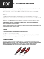 Aula 1 - Conceitos Básicos em Ortopedia