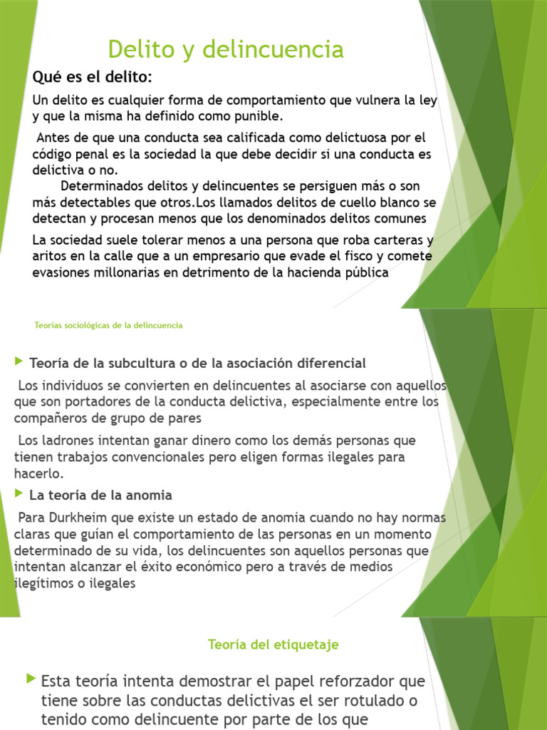 Delito y Delincuencia 2 | PDF | Ciencias sociales