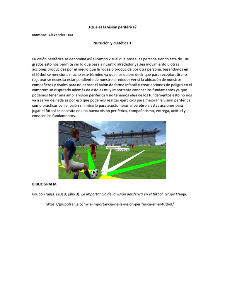 Qué Es La Visión Periférica PDF