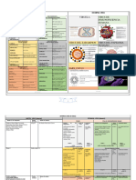 Biol II.B5.A11.Loteria - Virus.mpoo.23.23 X