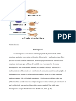 Hematopoyesis