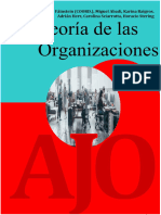 _ Libro - Teoria de Las Organizaciones - Fainstein