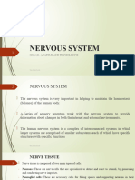MSR 121 Nervous System Notes