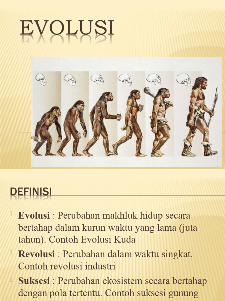 Evolusi Manusia dan Teori Biog…