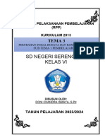 RPP-Tema 1