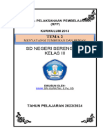 RPP-Tema 2