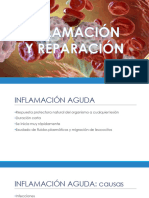 Inflamación y Reparación 2