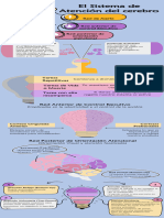 Infografía Sistema de Atencion Cerebro PDF