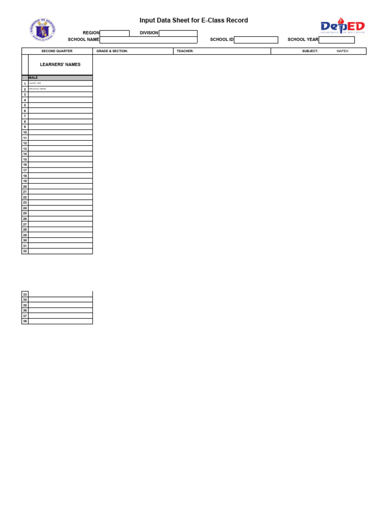 E-Class Record Input Data Sheet | PDF
