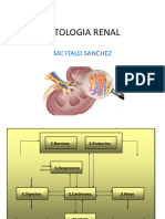 Patologia Renal