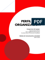 Perfil de La Organización