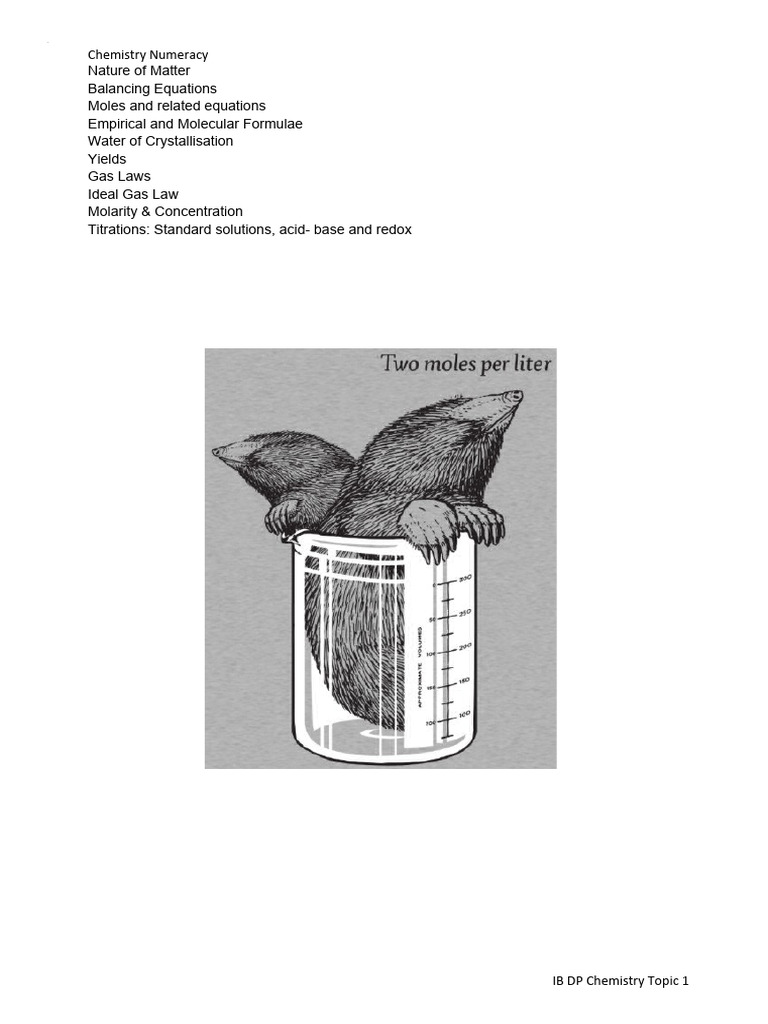 IB Chemistry: Stoichiometry Basics | PDF | Mole (Unit) | Molecules