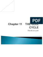 Chapter 11 - The Cell Cycle
