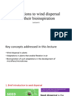 Adaptations To Wind Dispersal and Their Bioinspiration
