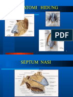 Anatomi Hidung & Kasus Serta Penatalaksanaan