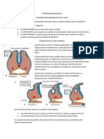 Otorrinolaringologia (Embrio, Anato y Fisio)