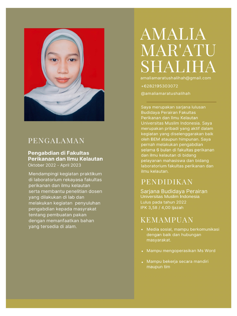 Cv pdf