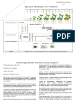 Carta Tecnologica para El Cultivo de Pepino en Sistemas Hidroponicos