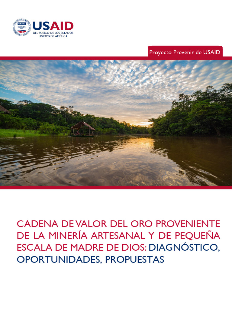 Oportunidades en la Cadena de Valor del Oro | PDF | Minería | Deforestación