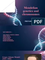 Mendelian Genetics and Chromosomes