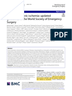 Acute Mesenteric Ischemia-Updated Guidelines of The World Society of Emergency Surgery