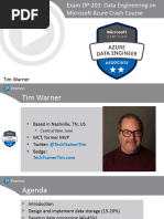 Warner DP 203 Slides