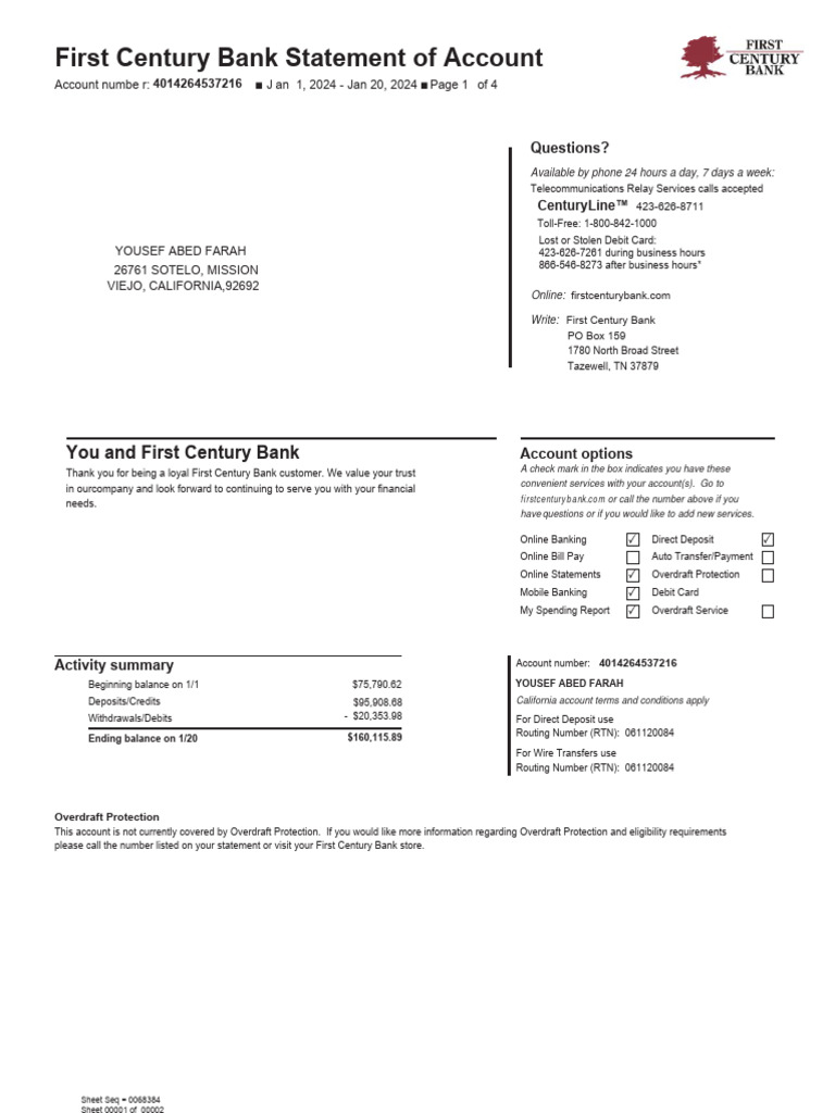 E Statment | PDF