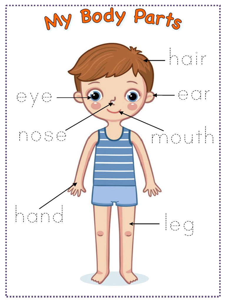 Y2 Body Parts W4 PKPB - Dotted | PDF