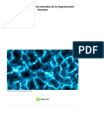 Bioelectricidad, Los Secretos de La Regeneración Humana - Cinco Noticias - IMPORTANTE