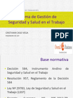 Comité de SSO, Reglamento Interno de SSO, Programa Anual de SSO