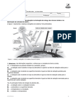 Riscos Mistos_Atmosfera e a Influência Da Poluição(1)