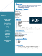 Professional CV