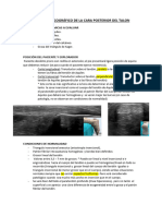 TEMA 3 Región Posterior Del Talón