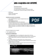 Tema 4. Estudio Ecogrã¡fico de La 1Âº AMTF.