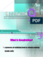 Respiration 7