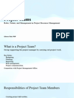1 - Project Teams