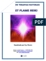 Violet Flame Reiki 1 A 4 Mestrado