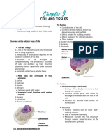 Chapter 2-Cell