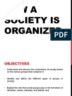 How A Society Is Organized 2