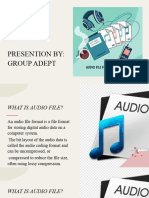 Audio Files Group Adept